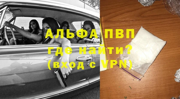 прущие грибы Абдулино