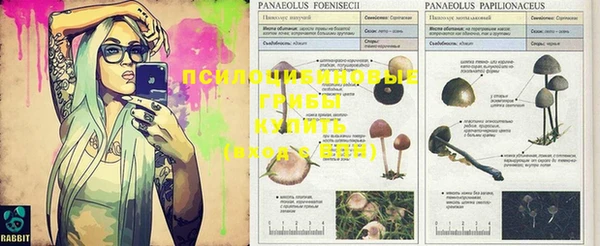 MDMA Абаза