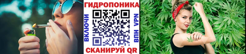 ссылка на мегу   Ковдор  Бошки Шишки конопля 